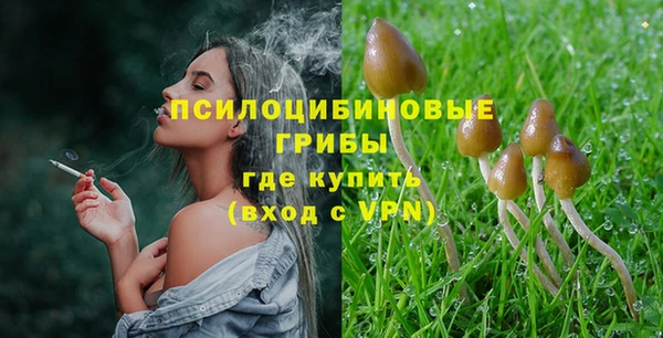 стаф Арсеньев