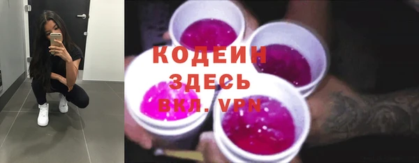 стаф Арсеньев