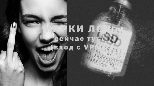 spice Армянск