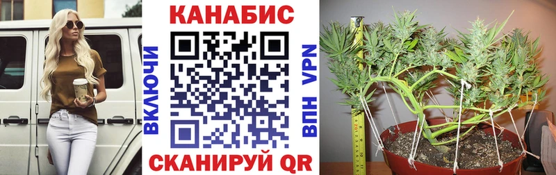 Марихуана THC 21% Североуральск